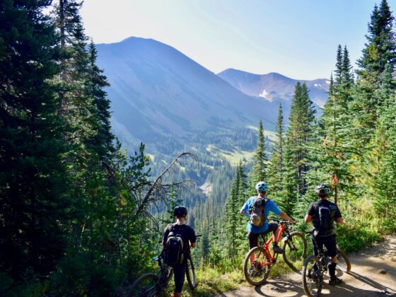 François-Louis Tremblay: Men in the Woods on Cycles