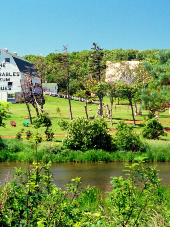 marilla of green gables, anne of green gables, book reviews, books, Canadian fiction, avonlea, prince edward island, PEI, canada, farm, grass