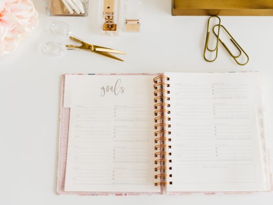 Probiotics: Daytimer