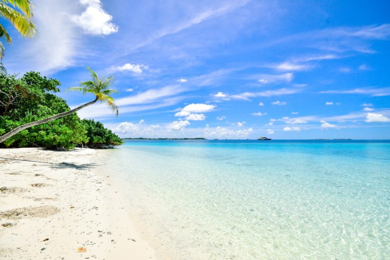 Winter Blues: Beach