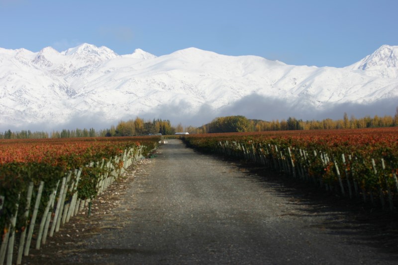 Catena: Andes Mountains