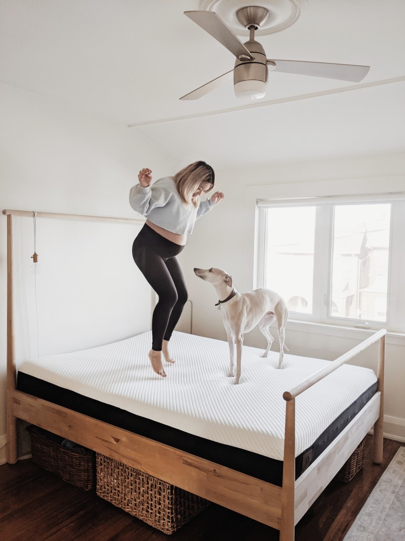  Woman Jumping on Apollo bed with Dog