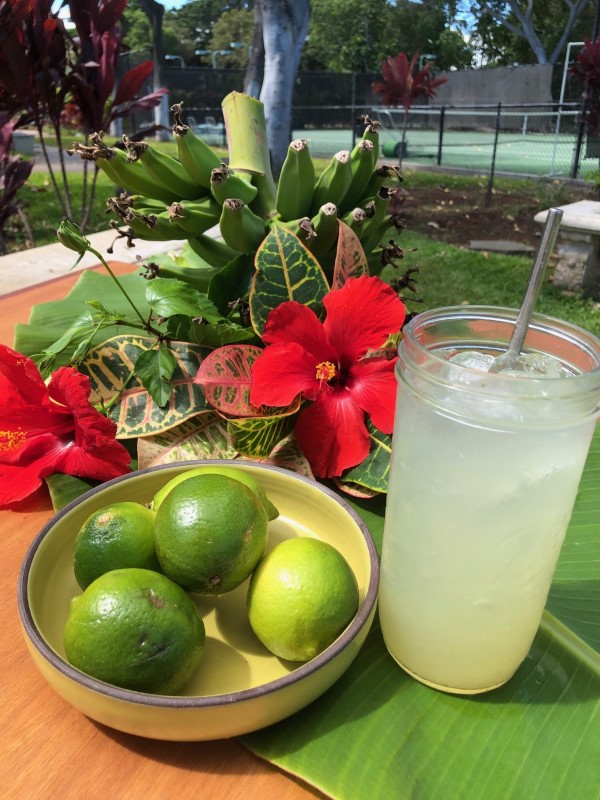 Island of Hawaii: Limeade 