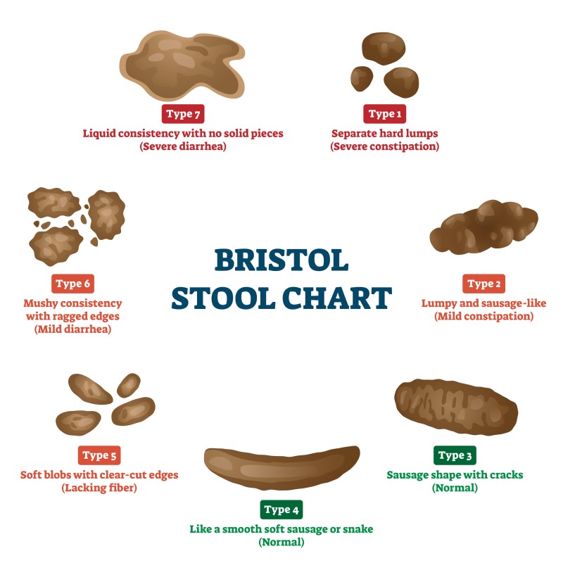 Healthy Poo: Bristol Stool Chart