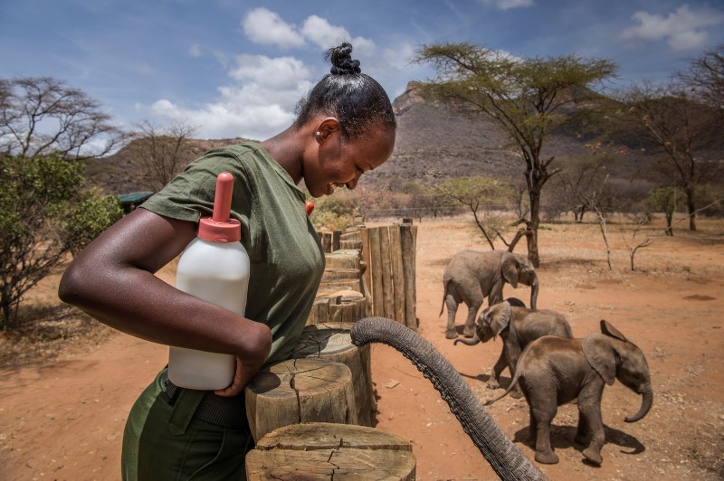 Filmmaker: Elephant Caretaker at Reteti