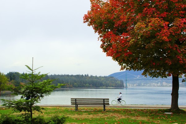 Things to do in Canada: Stanley Park