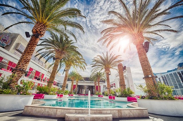 Trip to Las Vegas: Swimming Pool at Flamingo Hotel