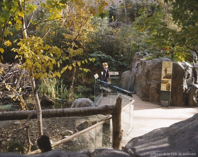 Montréal's Arts and Culture: Biodome