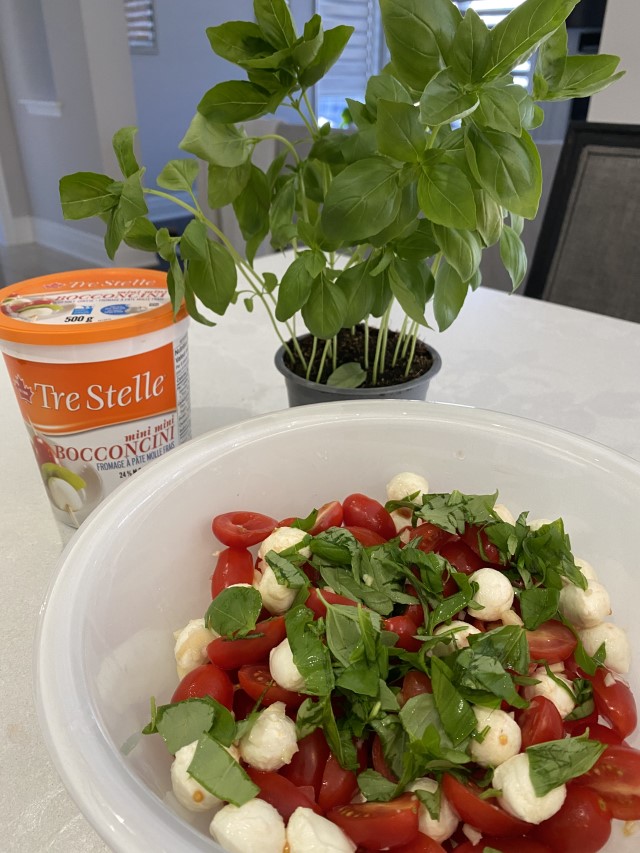 Easy Recipes: Tomato and Bocconcini Salad