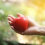 Heart Health: World Heart Day