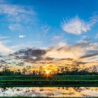 Greater Miami: Everglades at Sunset
