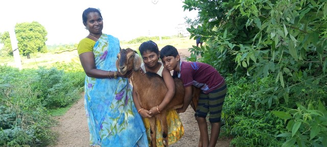 Gifts that Give Back: Children and woman with a goat