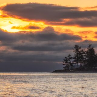 Tourism Attractions: Vancouver Island