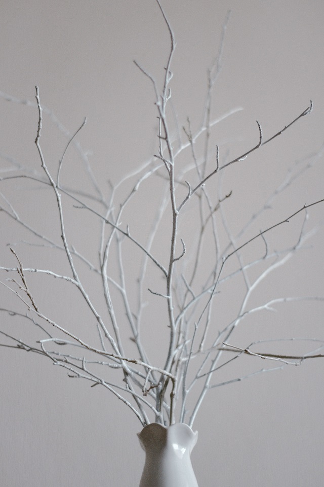 Branches in a vase