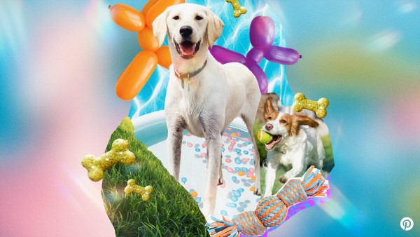 Pinterest Predicts: Two dogs playing with dog balloons in the background