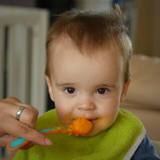 Homemade Baby Food: Feeding a baby their baby food