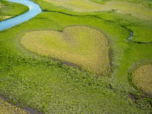 Eco-Friendly: Heart in a large field