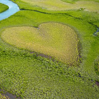 Eco-Friendly: Heart in a large field