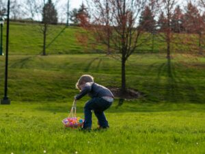 Easter Treats: Little boy searching for Easter Eggs