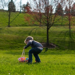 Easter Treats: Little boy searching for Easter Eggs