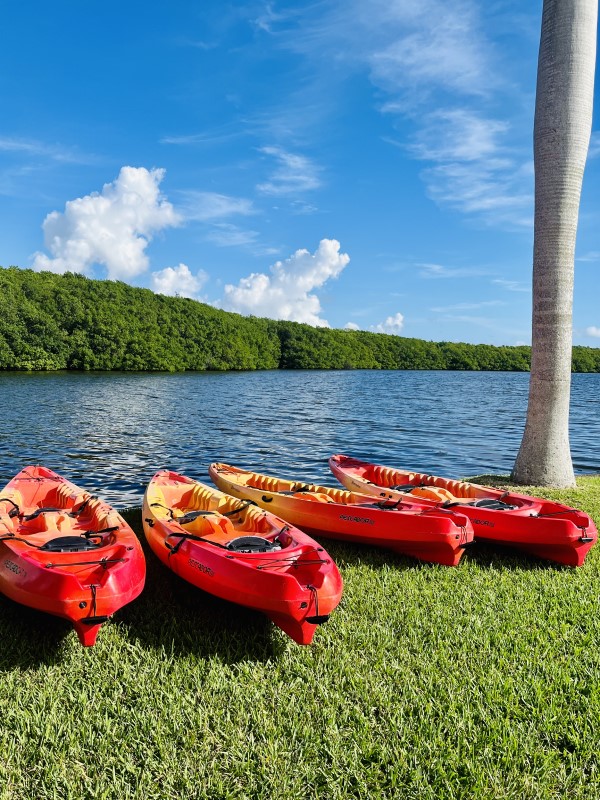 Miami-Dade County: Kayaks near Biscayne Bay