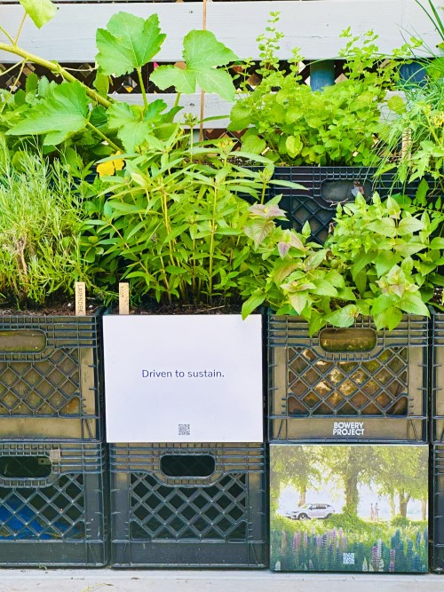 Volvo Midsummer Celebration: Plants outside