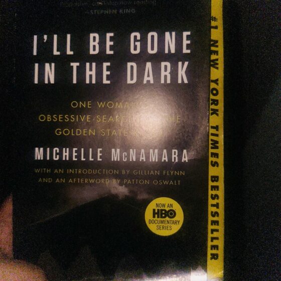 I'll Be Gone in the Dark: Photo of book in the dark