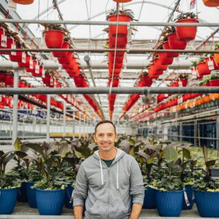 Frank Ferragine: Frankie Flowers in a greenhouse