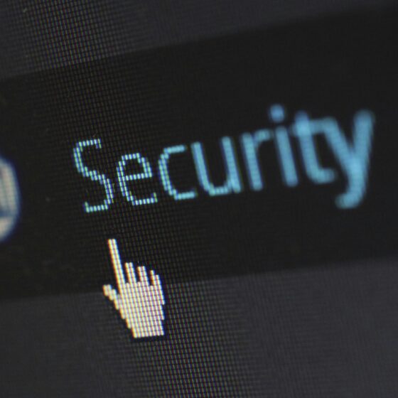 Employee Privacy: Computer Screen with curser under the word security