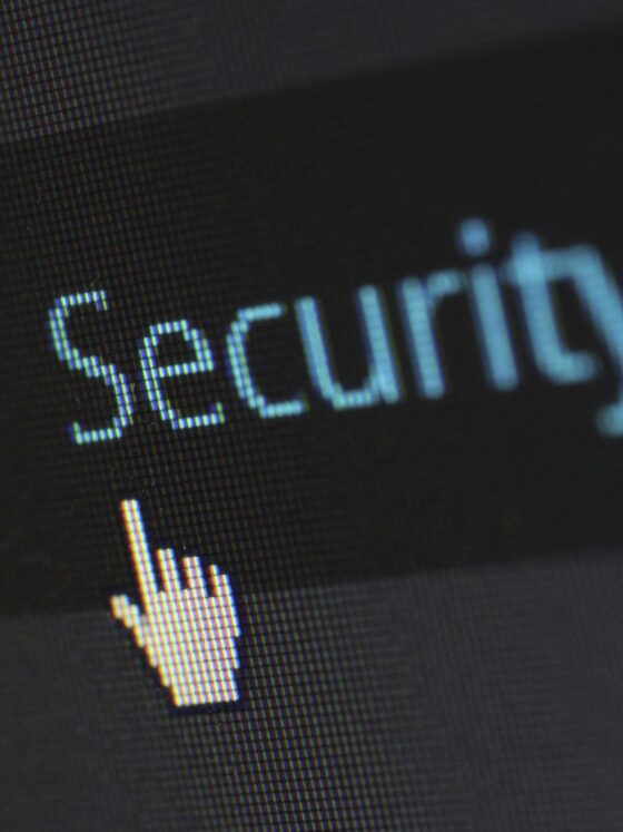 Employee Privacy: Computer Screen with curser under the word security