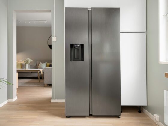 Common Fridge Issues: Stainless Steel Fridge next to a window with hint of living area in the background