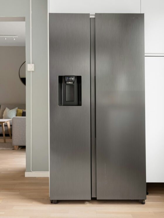 Common Fridge Issues: Stainless Steel Fridge next to a window with hint of living area in the background