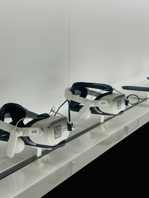 Space Explorers: The Infinite: VR Goggles