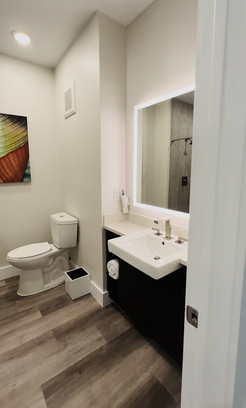 The Terraces at The Grove Resort: Toilet and sink with artwork