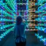 Art of the Brick: Woman in a room filled with blue lit LEGO Skulls