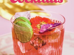 Beach Cocktails: Recipe Book Cover Art
