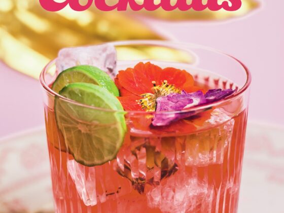 Beach Cocktails: Recipe Book Cover Art