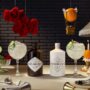 Hendrick's: Two bottles of Hendrick's Gin - one white and one black each with a cocktail beside it and cucumber, roses and an orange in the background