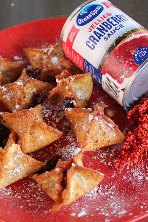 Cranberry Sauce: Can of Ocean Spray Cranberry Sauce near cream cheese wontons.