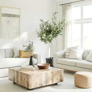 Airbnb Bookings: White, airy living room