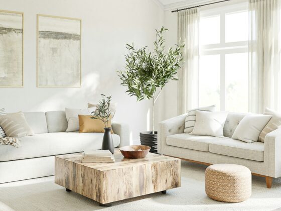 Airbnb Bookings: White, airy living room