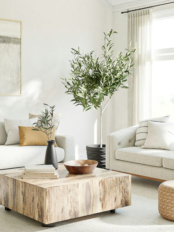 Airbnb Bookings: White, airy living room