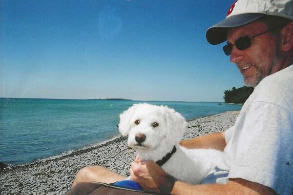 Bichon Frisé: dog sitting on a man's lap near Lake Ontario