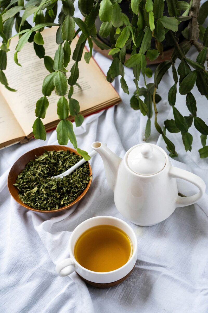 Green Tea Extract: Tea pot next to tea cup with green tea, loose leaves in a bowl next to a plant